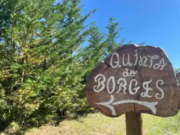 Quinta Do Borges 2 Daire Guarda Dış mekan fotoğraf