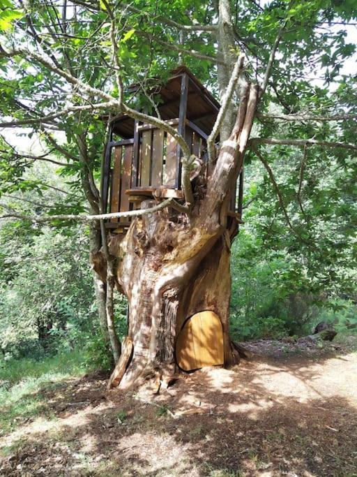 Quinta Do Borges 2 Daire Guarda Dış mekan fotoğraf